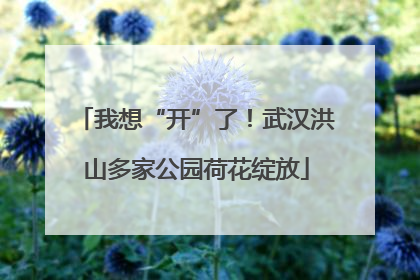 我想“开”了！武汉洪山多家公园荷花绽放
