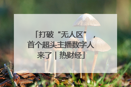打破“无人区”，首个超头主播数字人来了｜热财经