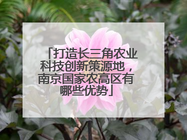 打造长三角农业科技创新策源地，南京国家农高区有哪些优势