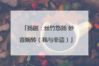 扬剧：丝竹悠扬 妙音婉转（我与非遗）