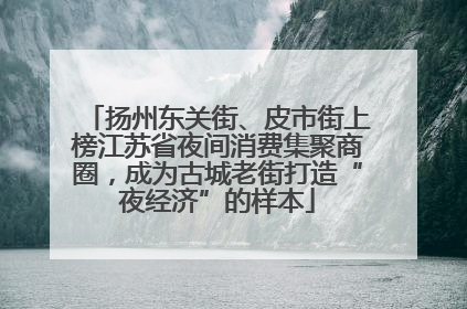 扬州东关街、皮市街上榜江苏省夜间消费集聚商圈，成为古城老街打造“夜经济”的样本