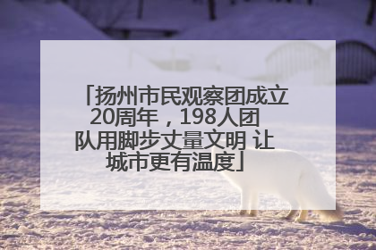 扬州市民观察团成立20周年，198人团队用脚步丈量文明 让城市更有温度