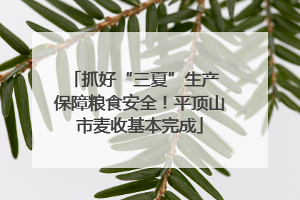 抓好“三夏”生产 保障粮食安全！平顶山市麦收基本完成