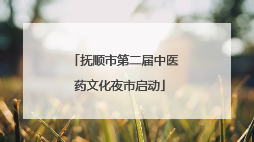 抚顺市第二届中医药文化夜市启动