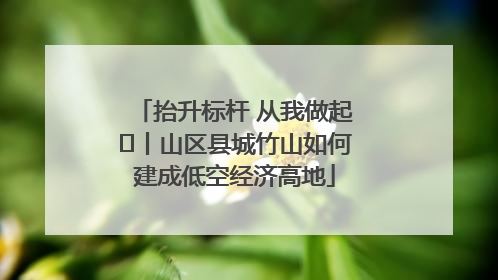 抬升标杆 从我做起⑭丨山区县城竹山如何建成低空经济高地