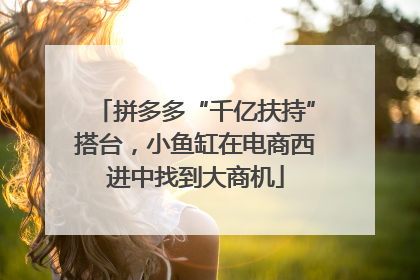 拼多多“千亿扶持”搭台，小鱼缸在电商西进中找到大商机