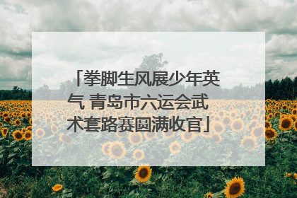 拳脚生风展少年英气 青岛市六运会武术套路赛圆满收官