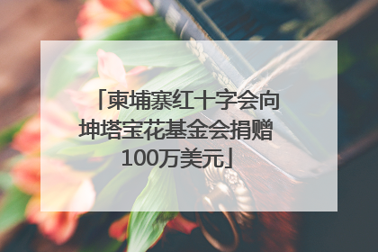 柬埔寨红十字会向坤塔宝花基金会捐赠100万美元