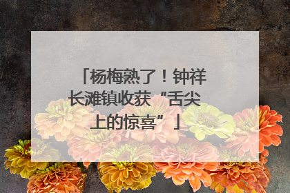杨梅熟了！钟祥长滩镇收获“舌尖上的惊喜”