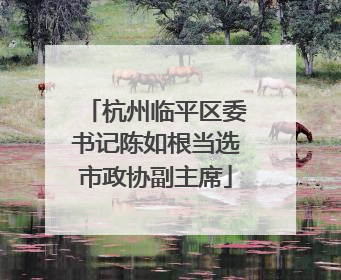 杭州临平区委书记陈如根当选市政协副主席
