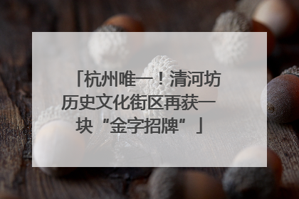 杭州唯一！清河坊历史文化街区再获一块“金字招牌”
