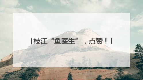 枝江“鱼医生”，点赞！