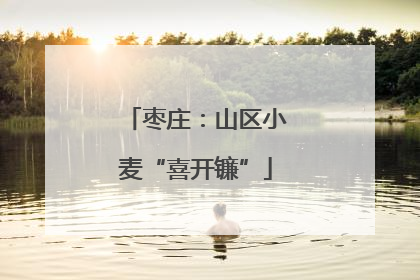 枣庄：山区小麦“喜开镰”