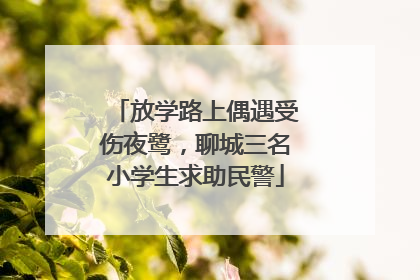 放学路上偶遇受伤夜鹭，聊城三名小学生求助民警