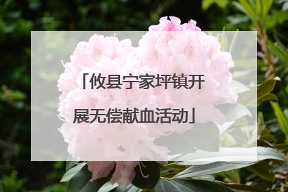 攸县宁家坪镇开展无偿献血活动