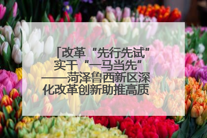 改革“先行先试” 实干“一马当先”——菏泽鲁西新区深化改革创新助推高质量发展纪实