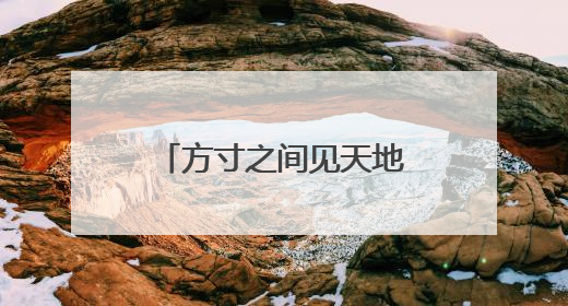 方寸之间见天地：从特区试验田到提振消费引擎