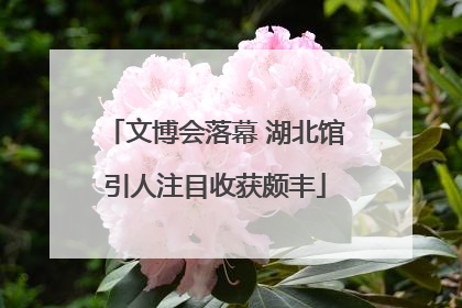 文博会落幕 湖北馆引人注目收获颇丰