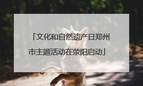 文化和自然遗产日郑州市主题活动在荥阳启动
