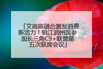 文商旅融合激发消费新活力！镇江润州区参加长三角C9+联盟第五次联席会议