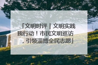 文明时评｜文明实践我行动！市民文明巡访，引领淄博全民志愿