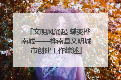 文明风涌起 蝶变桦南城——桦南县文明城市创建工作综述