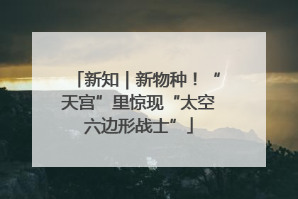 新知｜新物种！“天宫”里惊现“太空六边形战士”