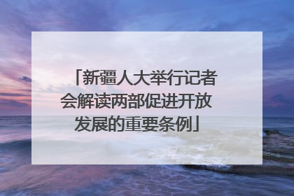 新疆人大举行记者会解读两部促进开放发展的重要条例