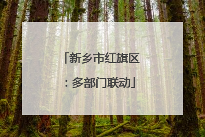 新乡市红旗区：多部门联动