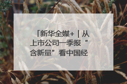 新华全媒+｜从上市公司一季报“含新量”看中国经济发展向“新”