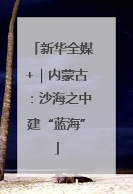 新华全媒+｜内蒙古：沙海之中建“蓝海”