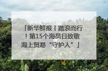 新华鲜报丨踏浪而行！第15个海员日致敬海上贸易“守护人”