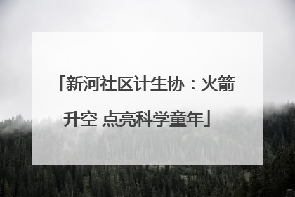新河社区计生协：火箭升空 点亮科学童年