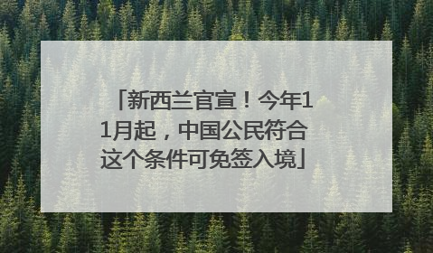 新西兰官宣！今年11月起，中国公民符合这个条件可免签入境