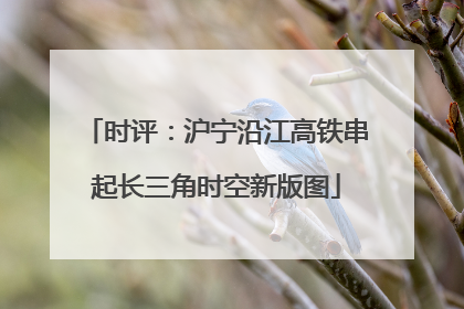 时评：沪宁沿江高铁串起长三角时空新版图