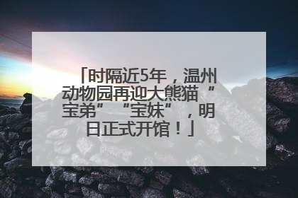 时隔近5年，温州动物园再迎大熊猫“宝弟”“宝妹”，明日正式开馆！