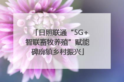 日照联通“5G+智联畜牧养殖”赋能碑廓镇乡村振兴