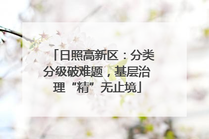 日照高新区：分类分级破难题，基层治理“精”无止境