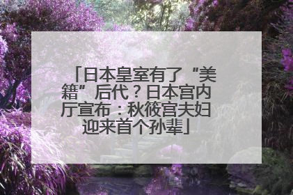 日本皇室有了“美籍”后代？日本宫内厅宣布：秋筱宫夫妇迎来首个孙辈