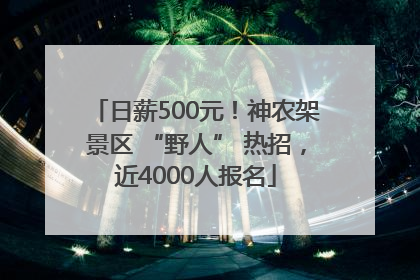 日薪500元！神农架景区 “野人” 热招，近4000人报名