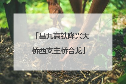 昌九高铁隆兴大桥西支主桥合龙