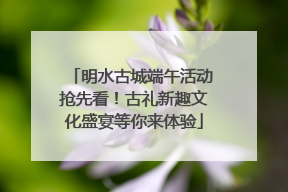 明水古城端午活动抢先看！古礼新趣文化盛宴等你来体验
