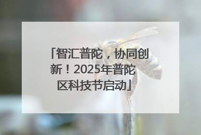 智汇普陀，协同创新！2025年普陀区科技节启动