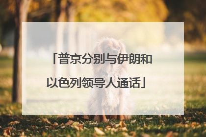普京分别与伊朗和以色列领导人通话