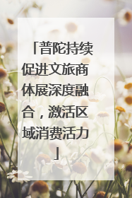 普陀持续促进文旅商体展深度融合，激活区域消费活力