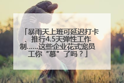 暴雨天上班可延迟打卡、推行4.5天弹性工作制……这些企业花式宠员工你“慕”了吗？