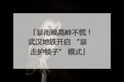 暴雨晚高峰不慌！武汉地铁开启 “暴走护犊子” 模式