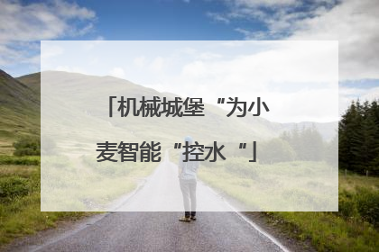 机械城堡“为小麦智能“控水“