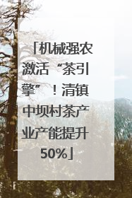 机械强农激活“茶引擎”！清镇中坝村茶产业产能提升50%