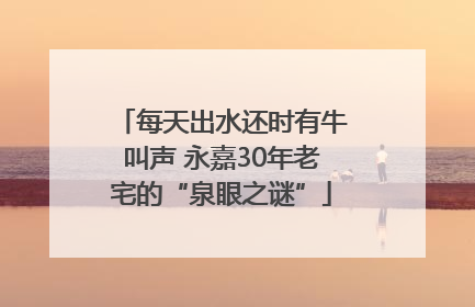 每天出水还时有牛叫声 永嘉30年老宅的“泉眼之谜”